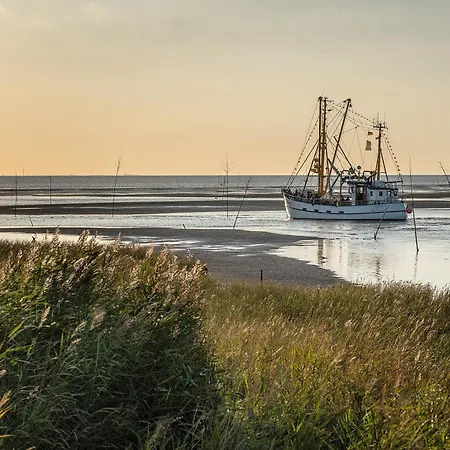 Apartment Ruhig Gelegene In Deichnaehe Wurster Nordseekuste